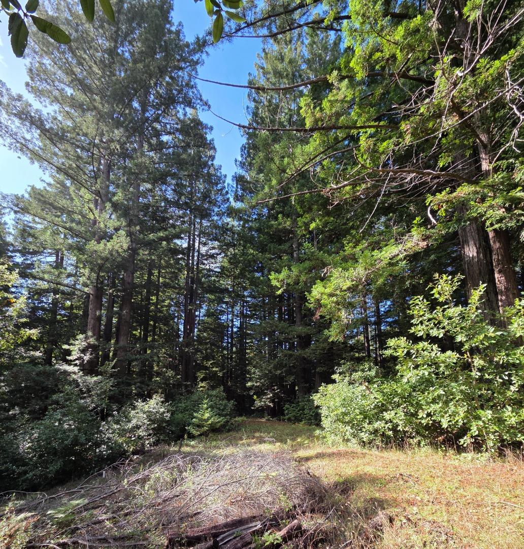 Detail Gallery Image 14 of 23 For 1140 Warren Dr, Santa Cruz,  CA 95060 - – Beds | – Baths