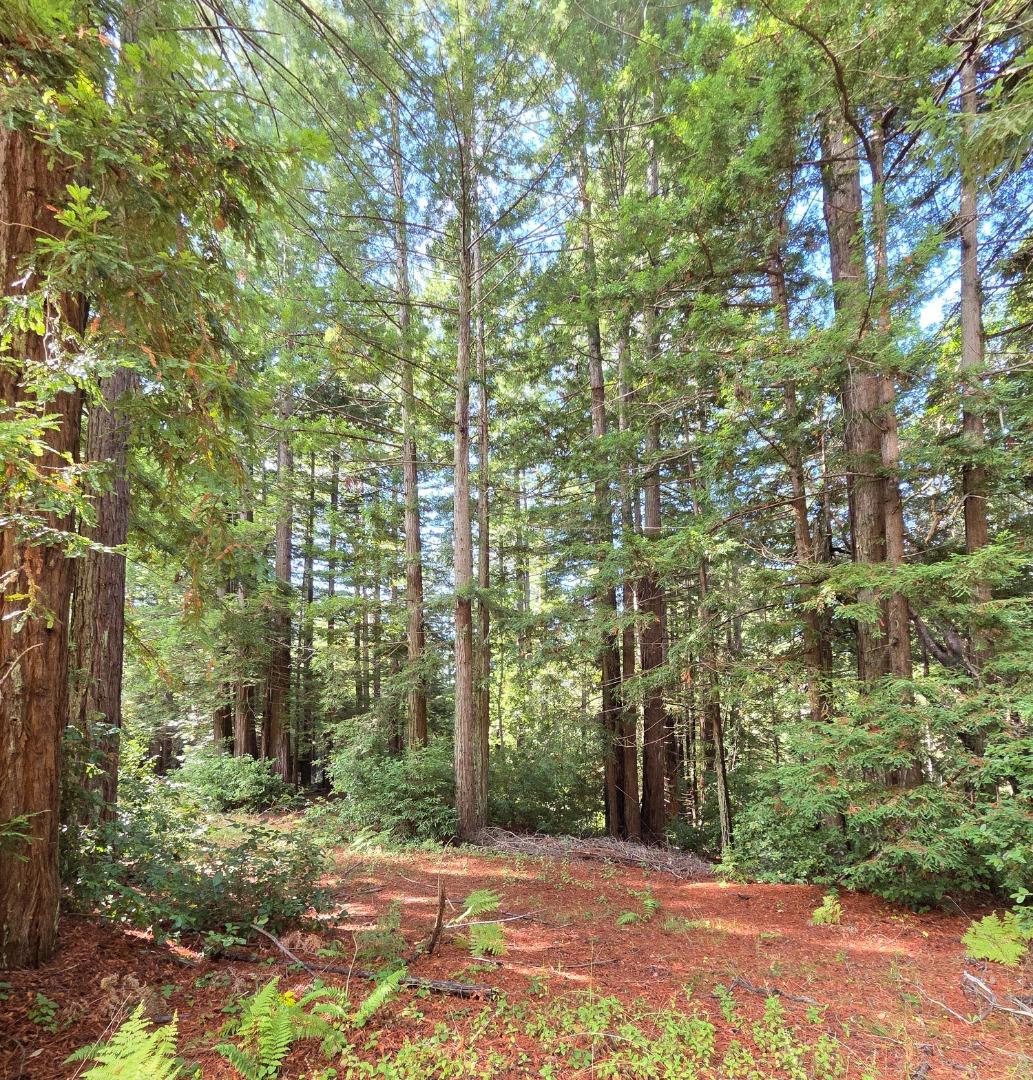 Detail Gallery Image 15 of 23 For 1140 Warren Dr, Santa Cruz,  CA 95060 - – Beds | – Baths