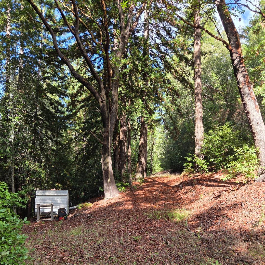 Detail Gallery Image 16 of 23 For 1140 Warren Dr, Santa Cruz,  CA 95060 - – Beds | – Baths