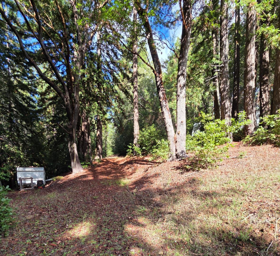 Detail Gallery Image 17 of 23 For 1140 Warren Dr, Santa Cruz,  CA 95060 - – Beds | – Baths