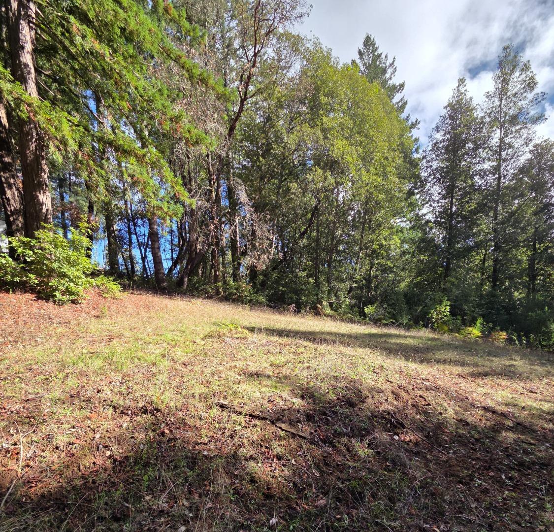 Detail Gallery Image 18 of 23 For 1140 Warren Dr, Santa Cruz,  CA 95060 - – Beds | – Baths