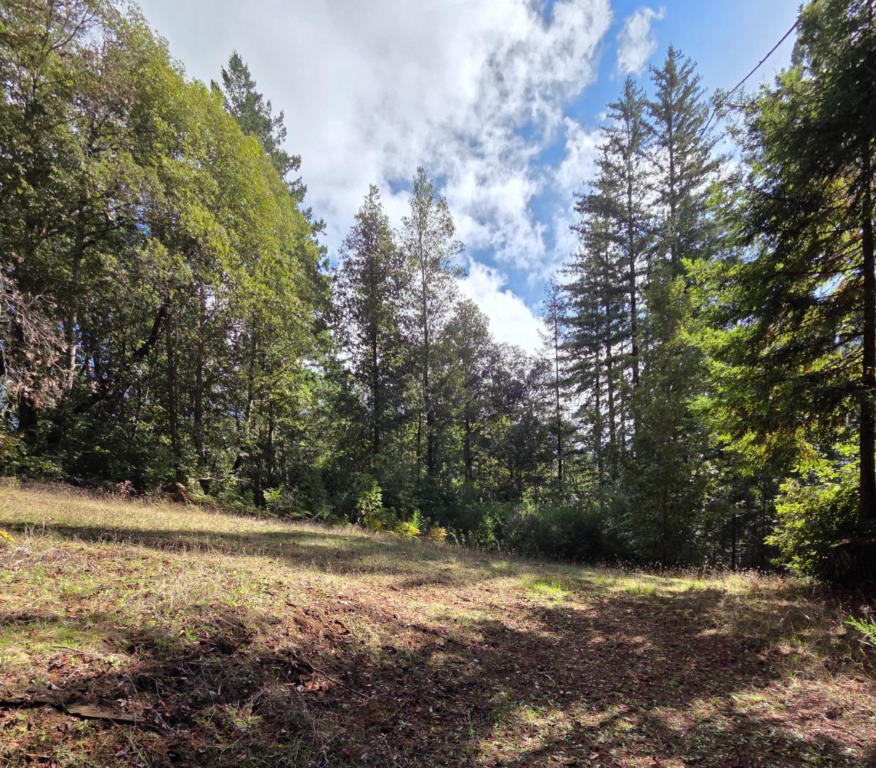 Detail Gallery Image 19 of 23 For 1140 Warren Dr, Santa Cruz,  CA 95060 - – Beds | – Baths