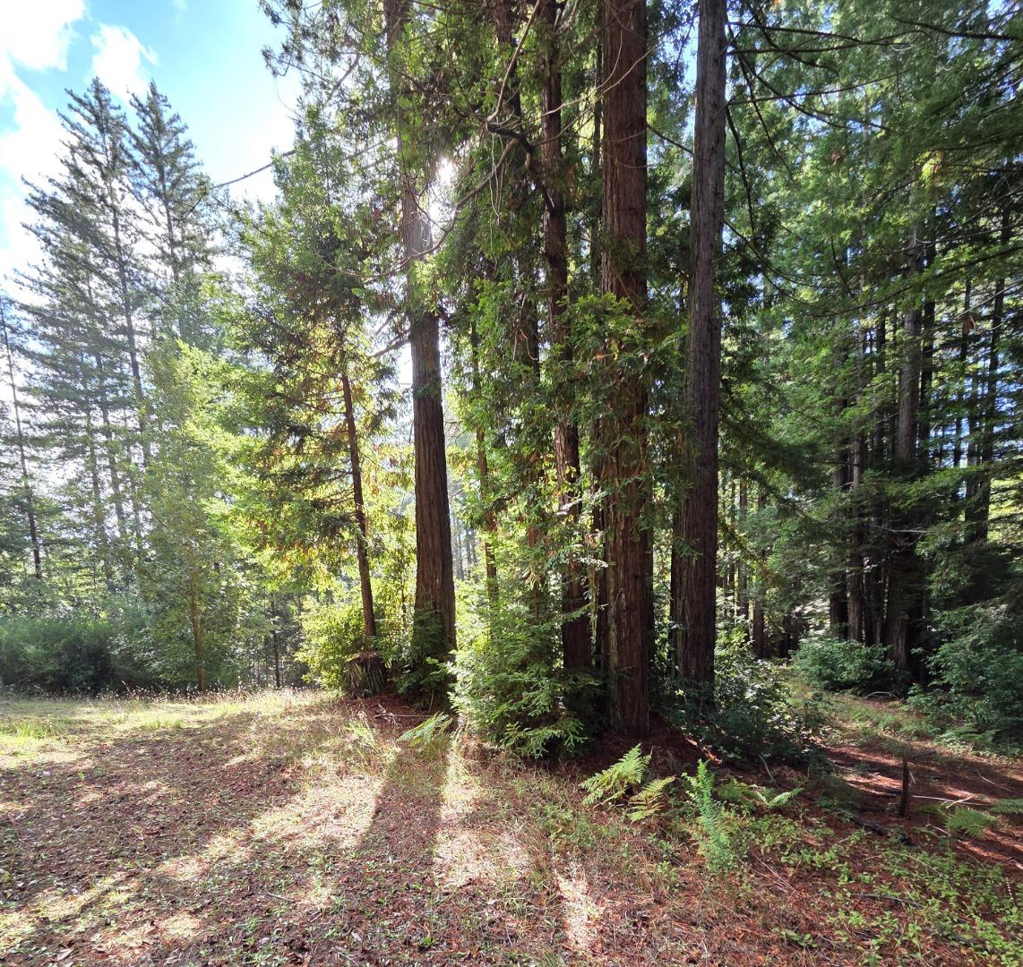 Detail Gallery Image 20 of 23 For 1140 Warren Dr, Santa Cruz,  CA 95060 - – Beds | – Baths