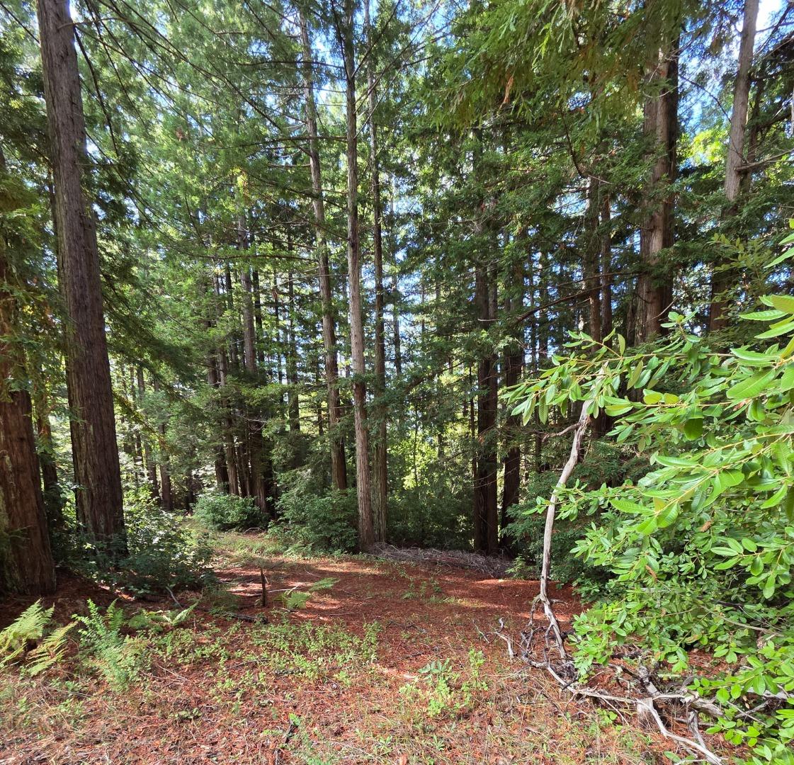 Detail Gallery Image 21 of 23 For 1140 Warren Dr, Santa Cruz,  CA 95060 - – Beds | – Baths