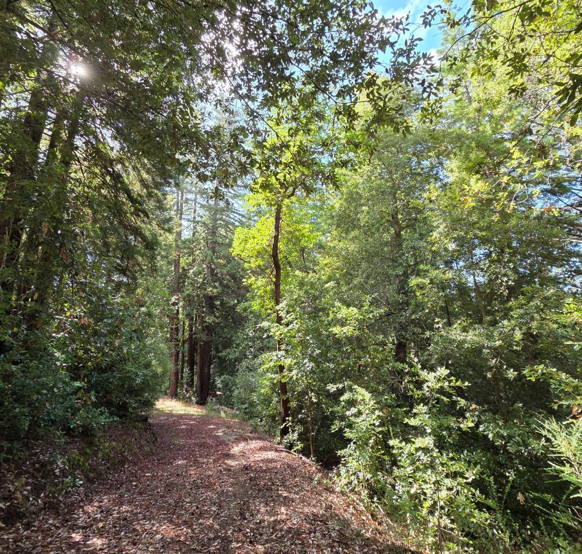 Detail Gallery Image 4 of 23 For 1140 Warren Dr, Santa Cruz,  CA 95060 - – Beds | – Baths