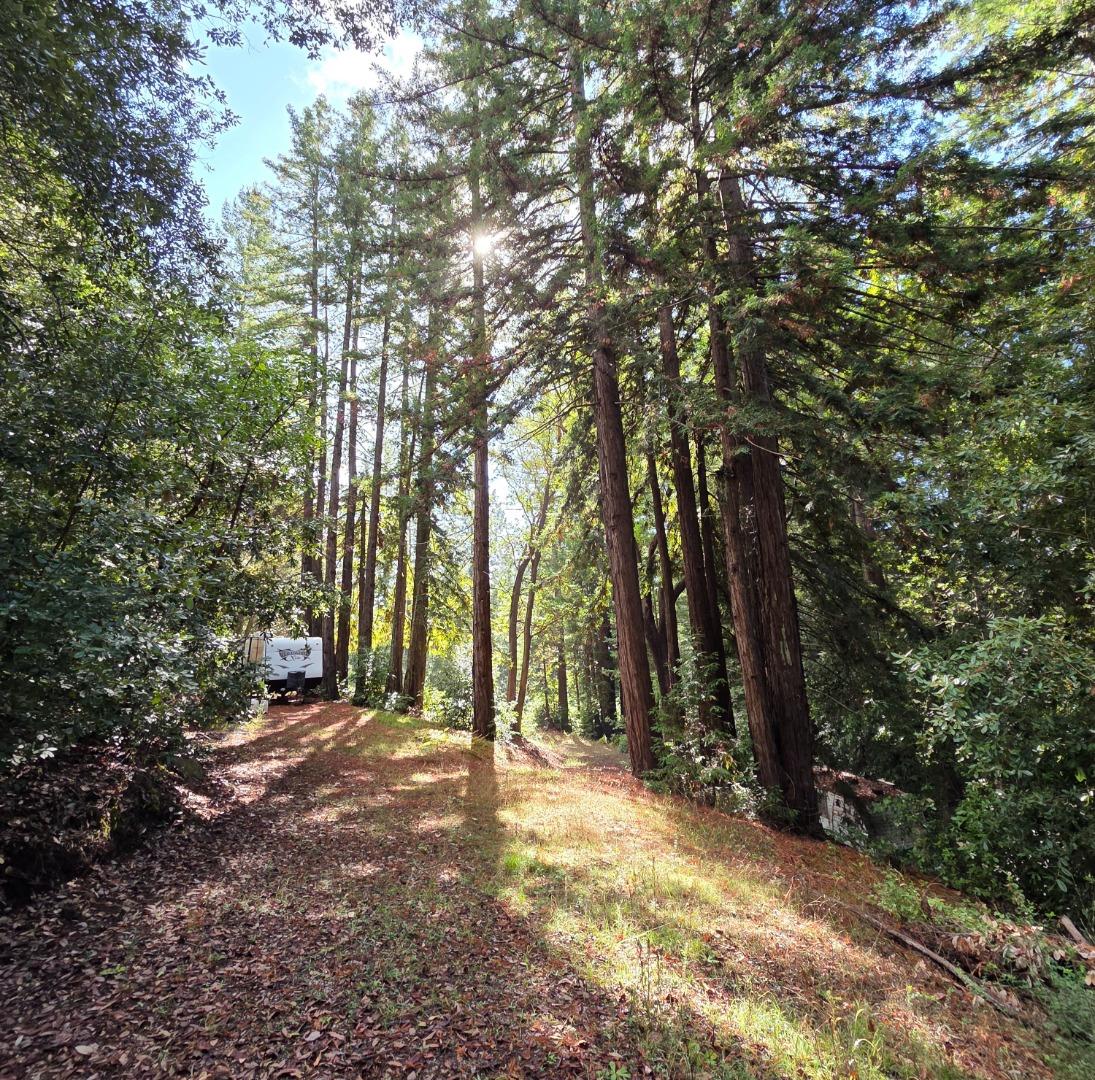 Detail Gallery Image 5 of 23 For 1140 Warren Dr, Santa Cruz,  CA 95060 - – Beds | – Baths