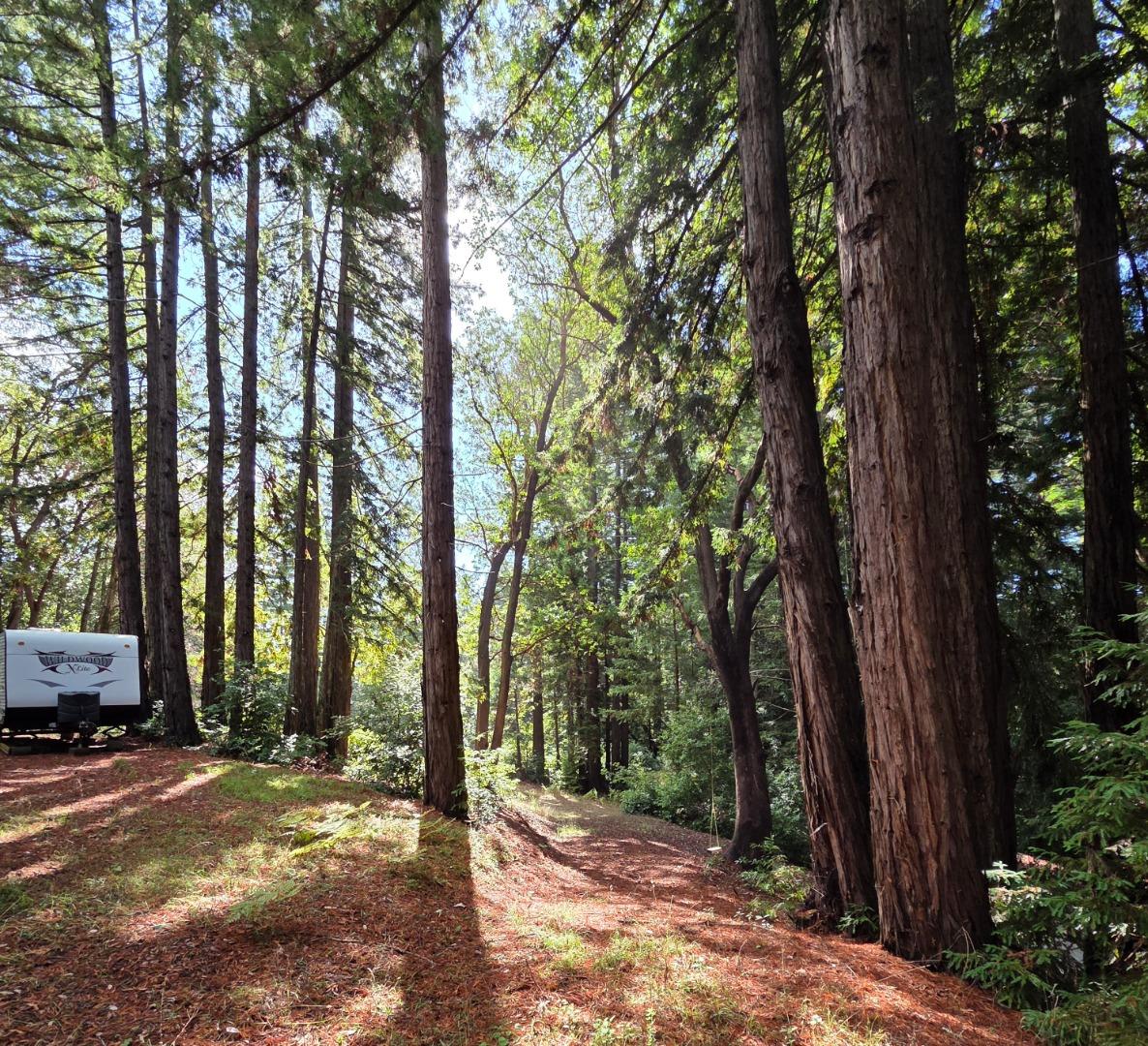 Detail Gallery Image 7 of 23 For 1140 Warren Dr, Santa Cruz,  CA 95060 - – Beds | – Baths