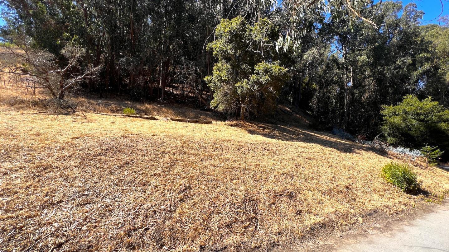 Detail Gallery Image 16 of 25 For 00 Lupine Ln, Santa Cruz,  CA 95065 - – Beds | – Baths