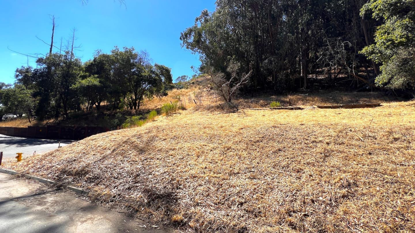 Detail Gallery Image 17 of 25 For 00 Lupine Ln, Santa Cruz,  CA 95065 - – Beds | – Baths