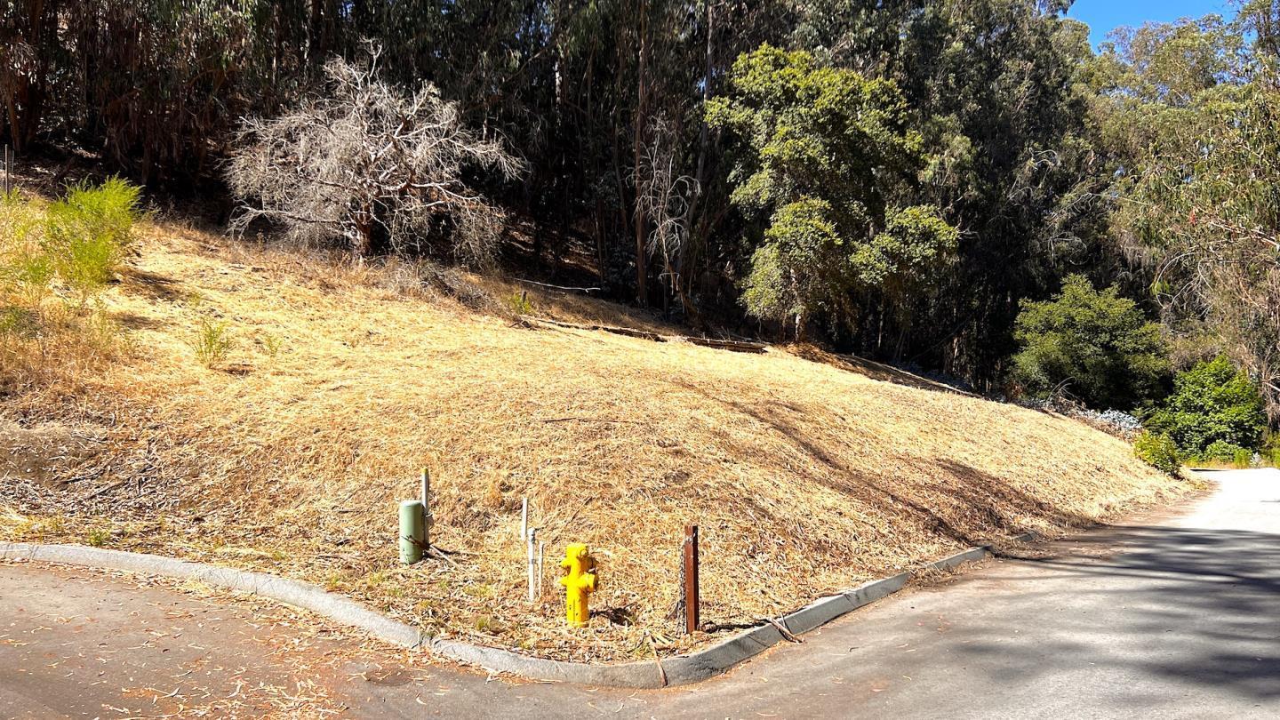 Detail Gallery Image 20 of 25 For 00 Lupine Ln, Santa Cruz,  CA 95065 - – Beds | – Baths