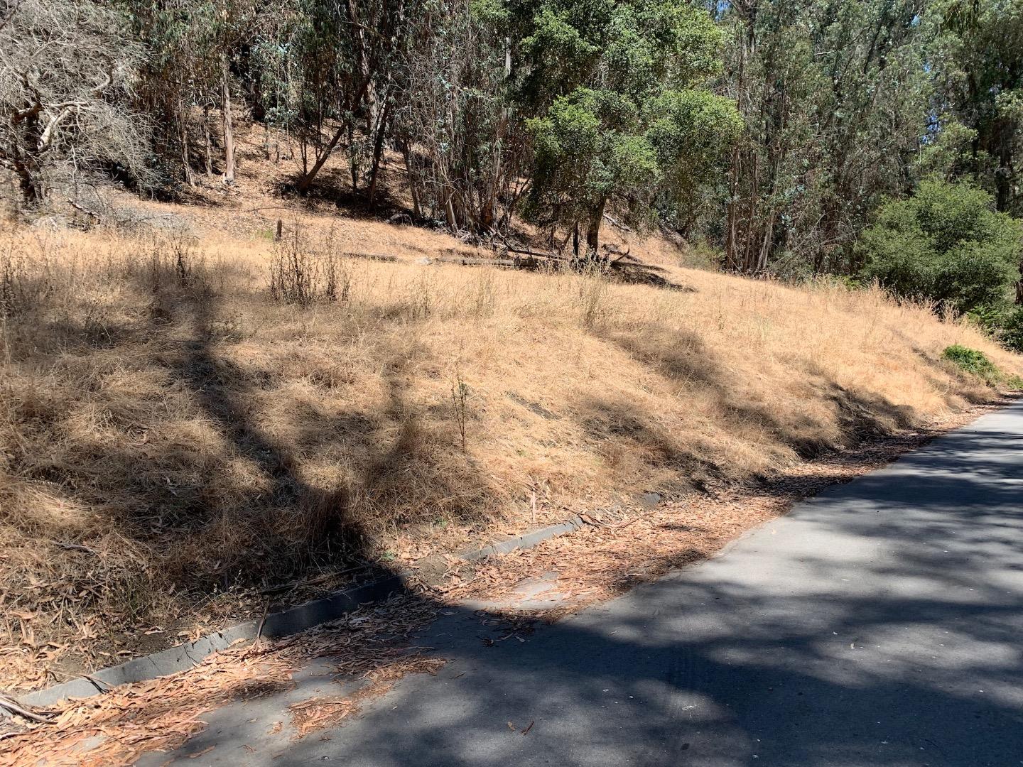 Detail Gallery Image 3 of 25 For 00 Lupine Ln, Santa Cruz,  CA 95065 - – Beds | – Baths