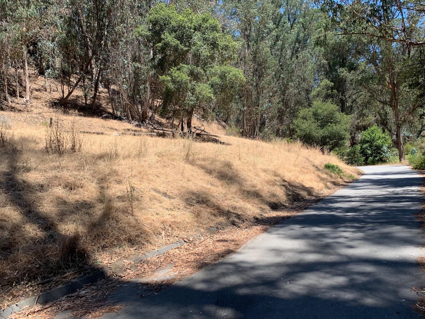 Detail Gallery Image 4 of 25 For 00 Lupine Ln, Santa Cruz,  CA 95065 - – Beds | – Baths