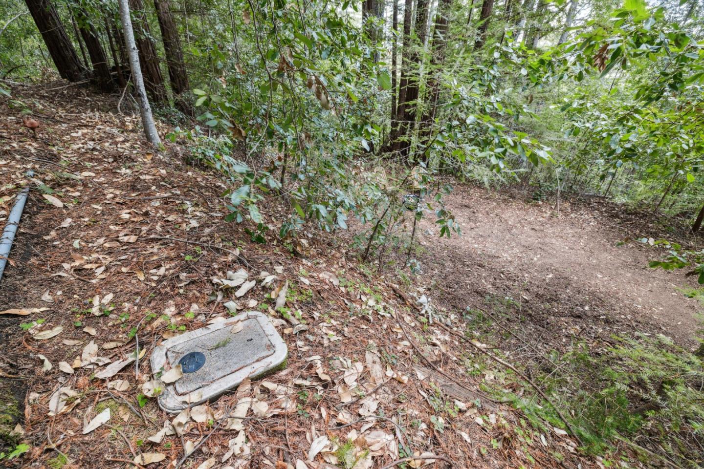 Detail Gallery Image 10 of 18 For 1365 Caledonia Ave, Ben Lomond,  CA 95005 - – Beds | – Baths