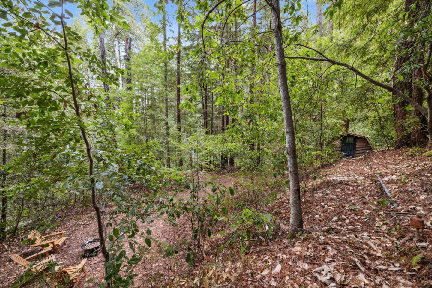 Detail Gallery Image 11 of 18 For 1365 Caledonia Ave, Ben Lomond,  CA 95005 - – Beds | – Baths