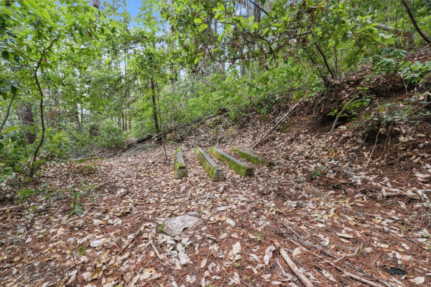 Detail Gallery Image 12 of 18 For 1365 Caledonia Ave, Ben Lomond,  CA 95005 - – Beds | – Baths