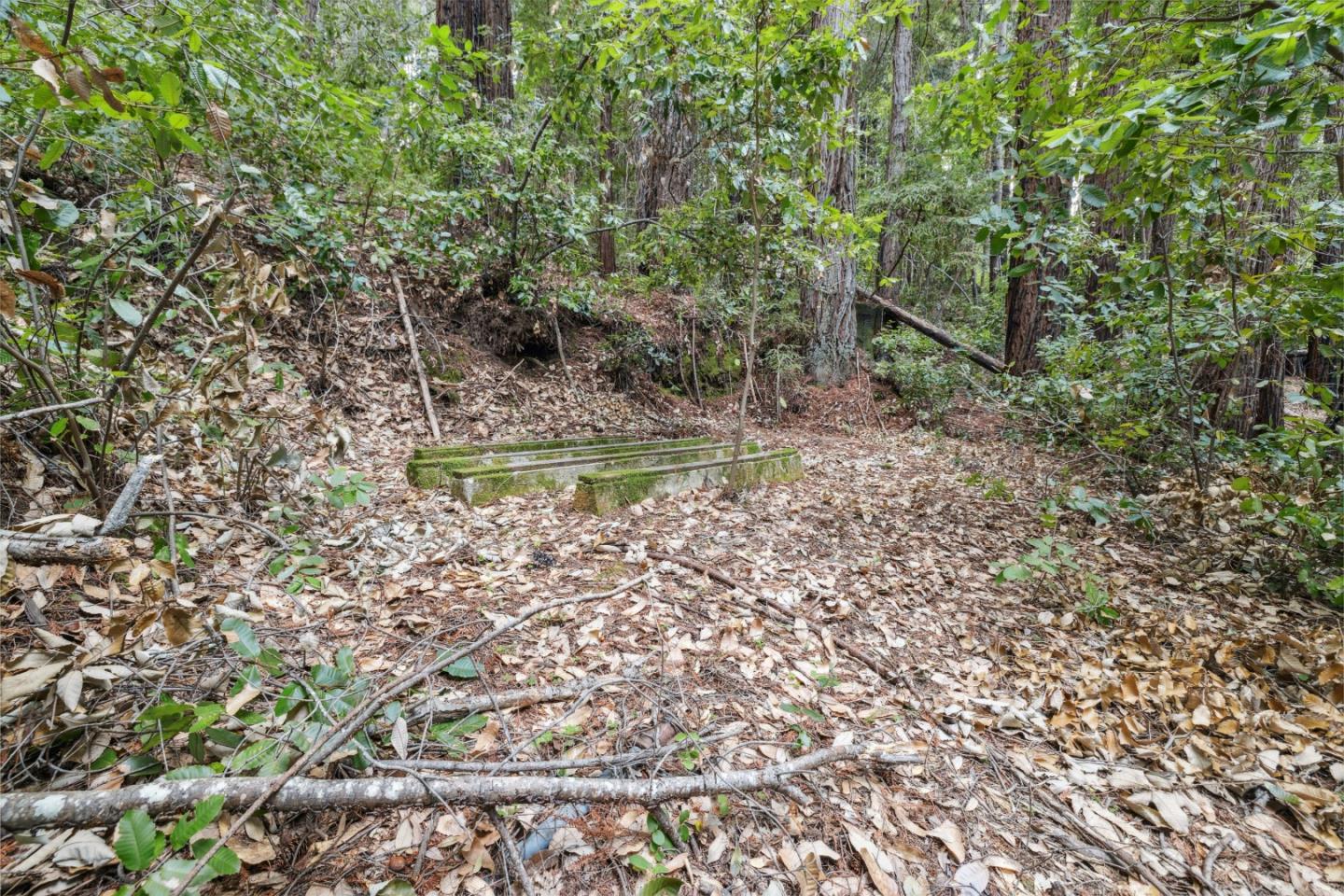 Detail Gallery Image 14 of 18 For 1365 Caledonia Ave, Ben Lomond,  CA 95005 - – Beds | – Baths