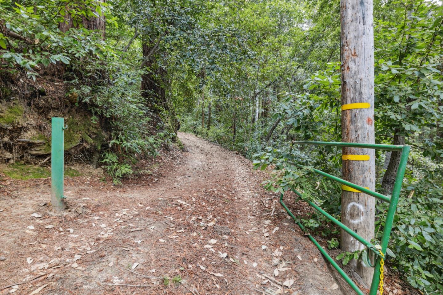 Detail Gallery Image 15 of 18 For 1365 Caledonia Ave, Ben Lomond,  CA 95005 - – Beds | – Baths