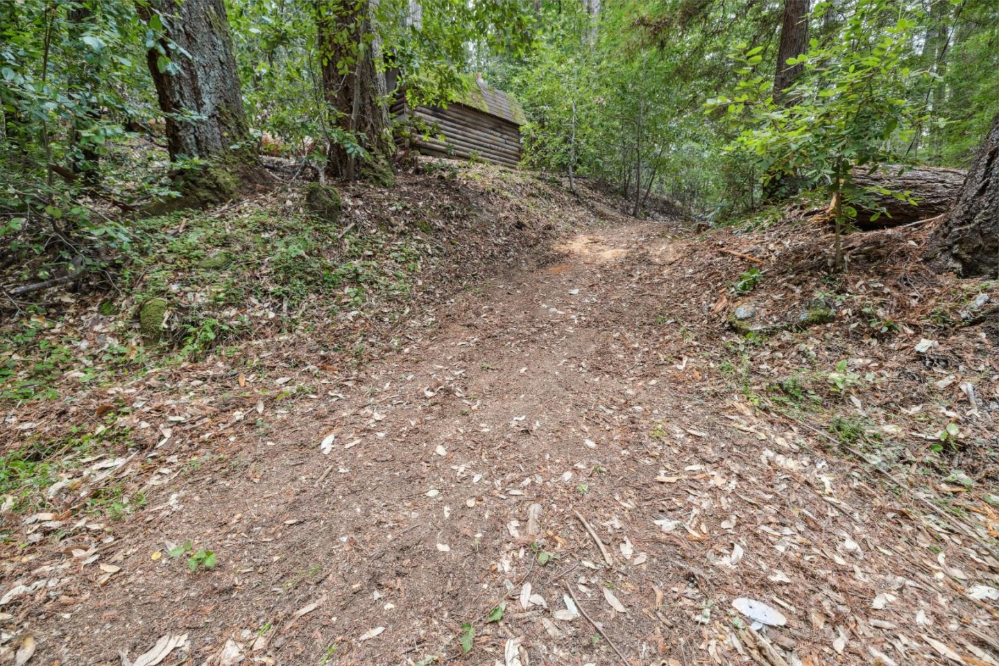 Detail Gallery Image 16 of 18 For 1365 Caledonia Ave, Ben Lomond,  CA 95005 - – Beds | – Baths