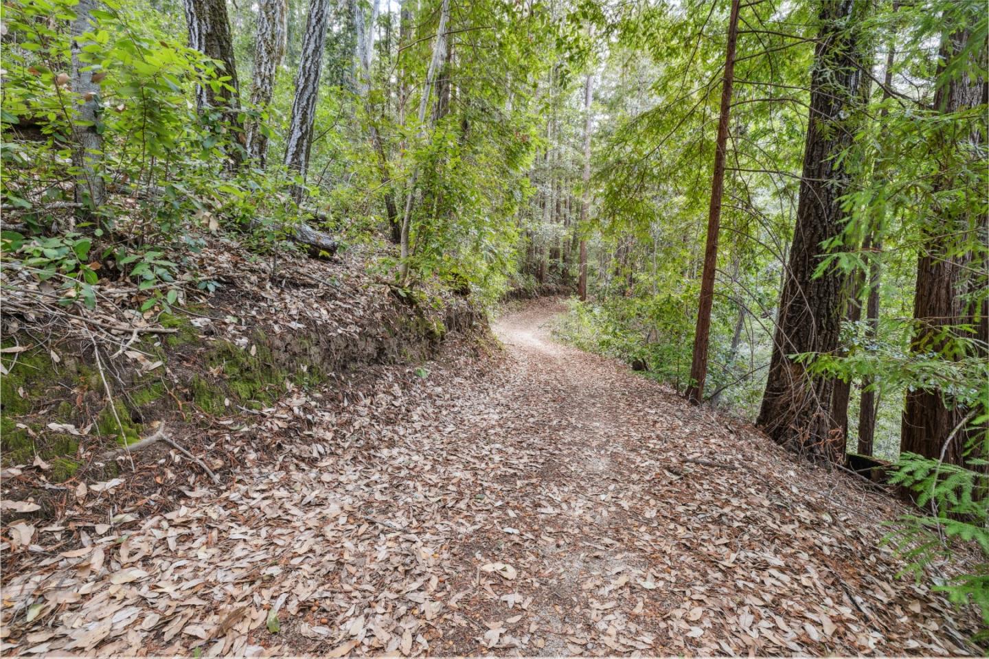 Detail Gallery Image 17 of 18 For 1365 Caledonia Ave, Ben Lomond,  CA 95005 - – Beds | – Baths