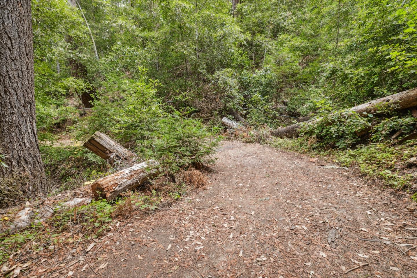 Detail Gallery Image 8 of 18 For 1365 Caledonia Ave, Ben Lomond,  CA 95005 - – Beds | – Baths