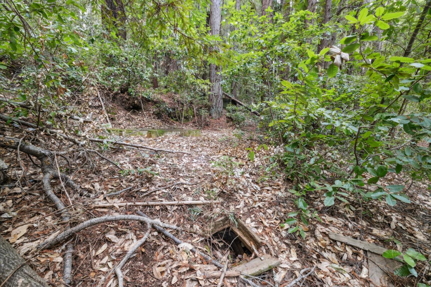 Detail Gallery Image 9 of 18 For 1365 Caledonia Ave, Ben Lomond,  CA 95005 - – Beds | – Baths