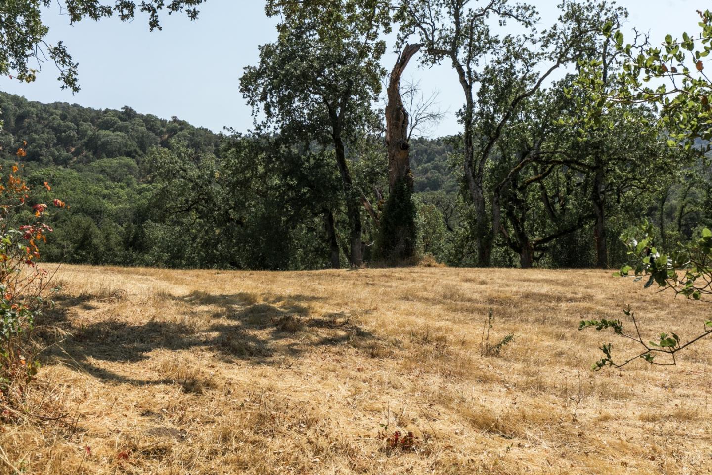 Detail Gallery Image 6 of 19 For 39 Arroyo Sequoia, Carmel Valley,  CA 93923 - – Beds | – Baths