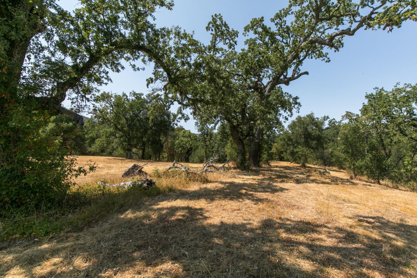 Detail Gallery Image 9 of 19 For 39 Arroyo Sequoia, Carmel Valley,  CA 93923 - – Beds | – Baths