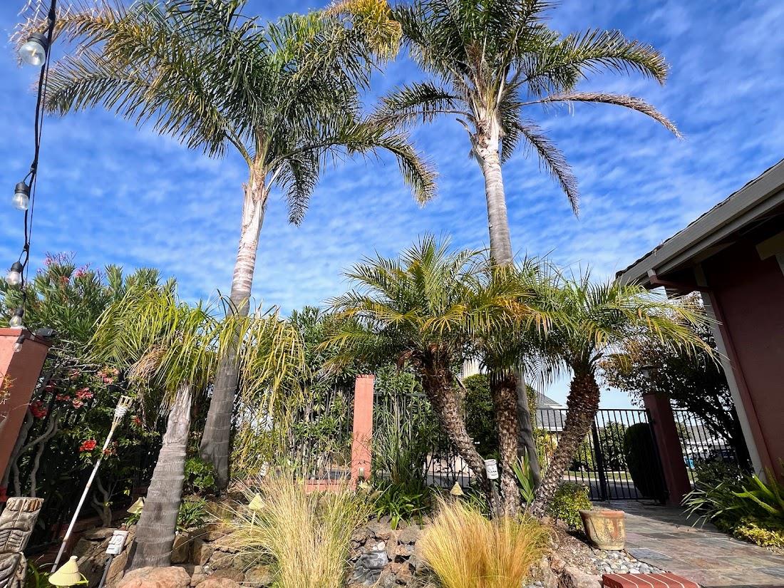 Detail Gallery Image 33 of 41 For 150 Flying Mist Isle, Foster City,  CA 94404 - 4 Beds | 2/1 Baths