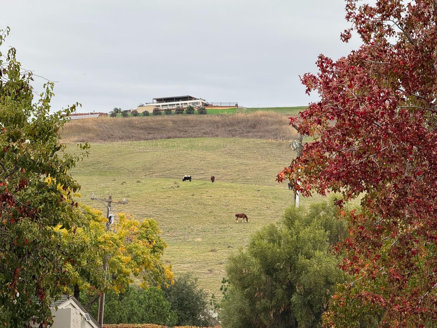 Detail Gallery Image 39 of 48 For 25 Terfidia Ln, Milpitas,  CA 95035 - 3 Beds | 2/1 Baths