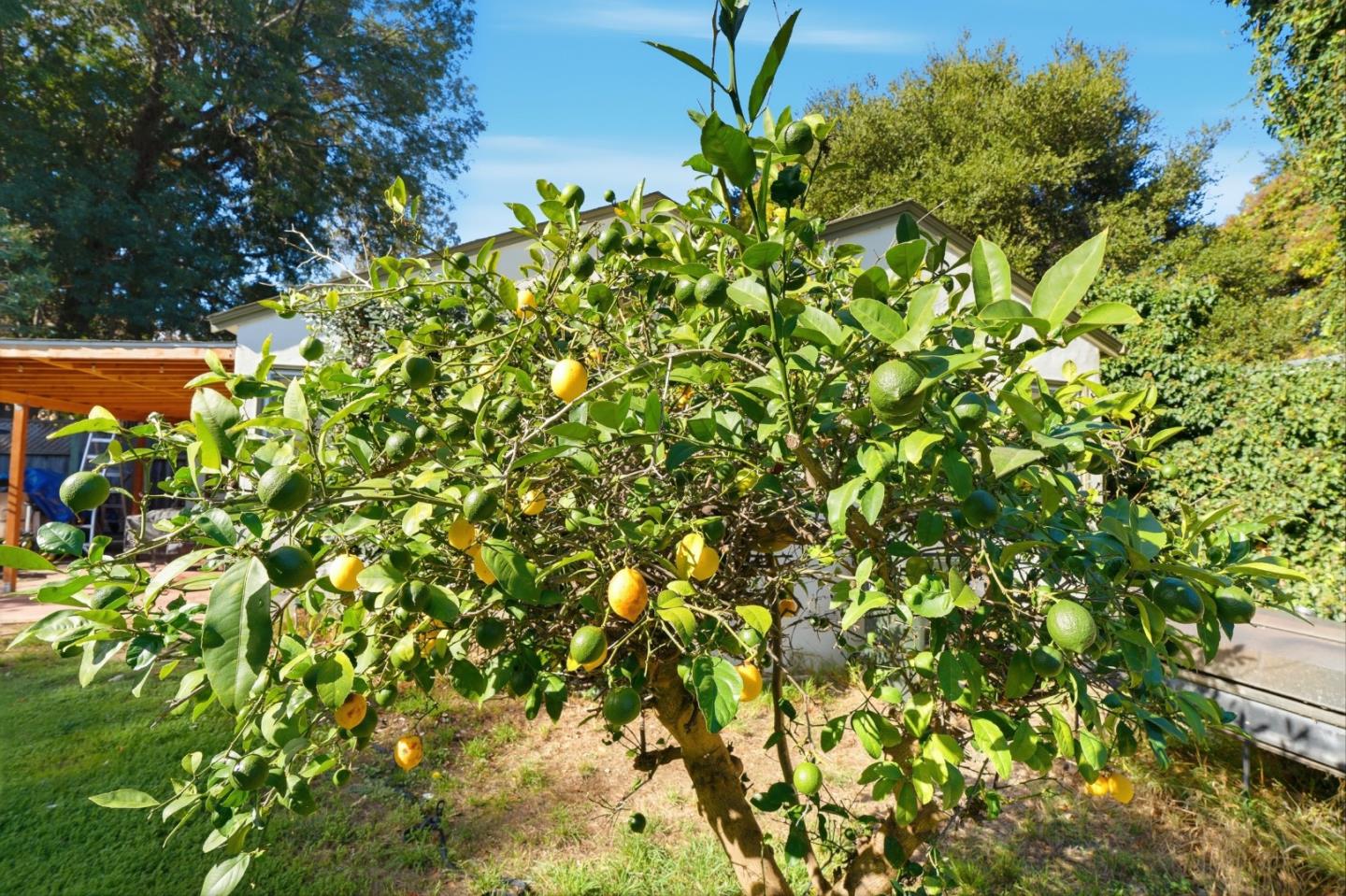 Detail Gallery Image 34 of 34 For 1908 Cooley Ave, East Palo Alto,  CA 94303 - 3 Beds | 1 Baths