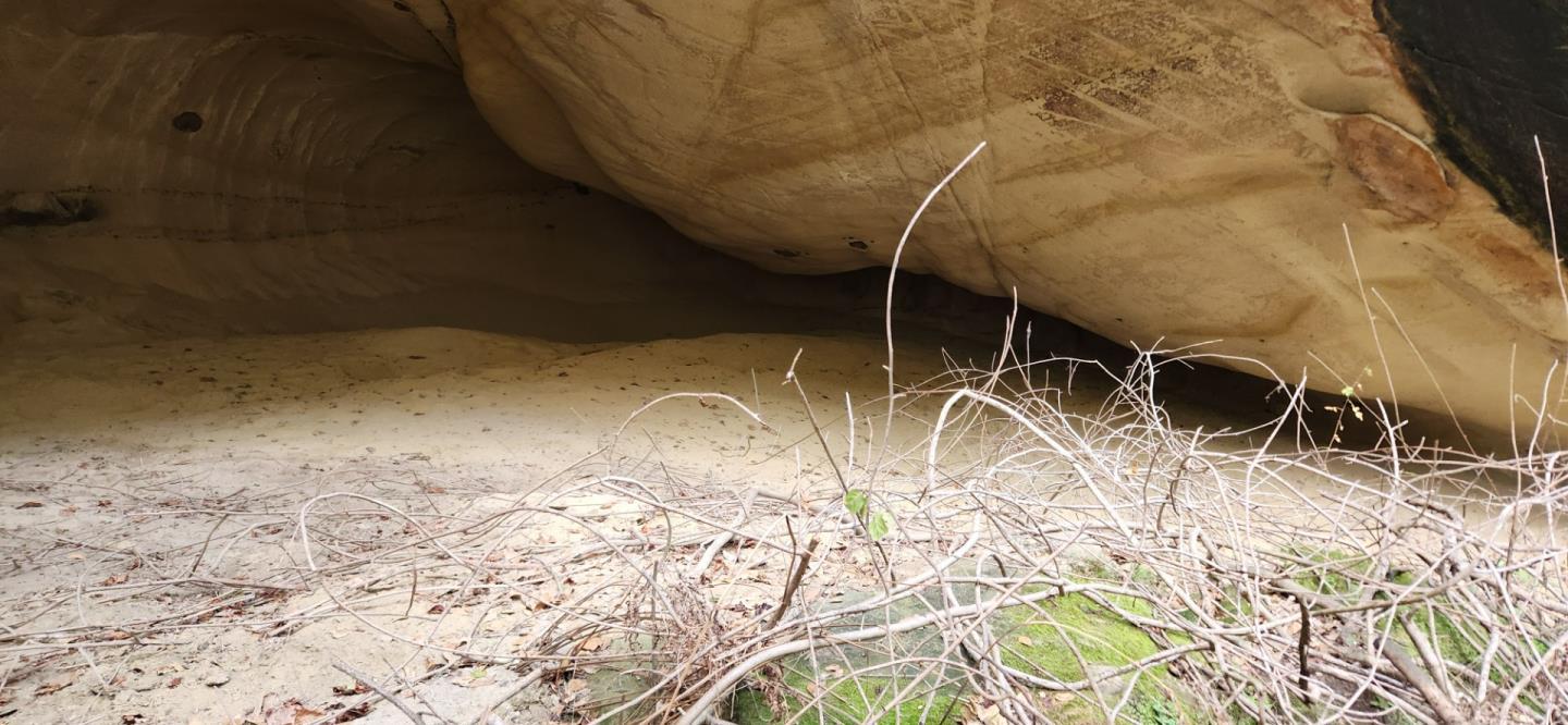 Detail Gallery Image 14 of 16 For None Salinas Rd, San Juan Bautista,  CA 95045 - – Beds | – Baths