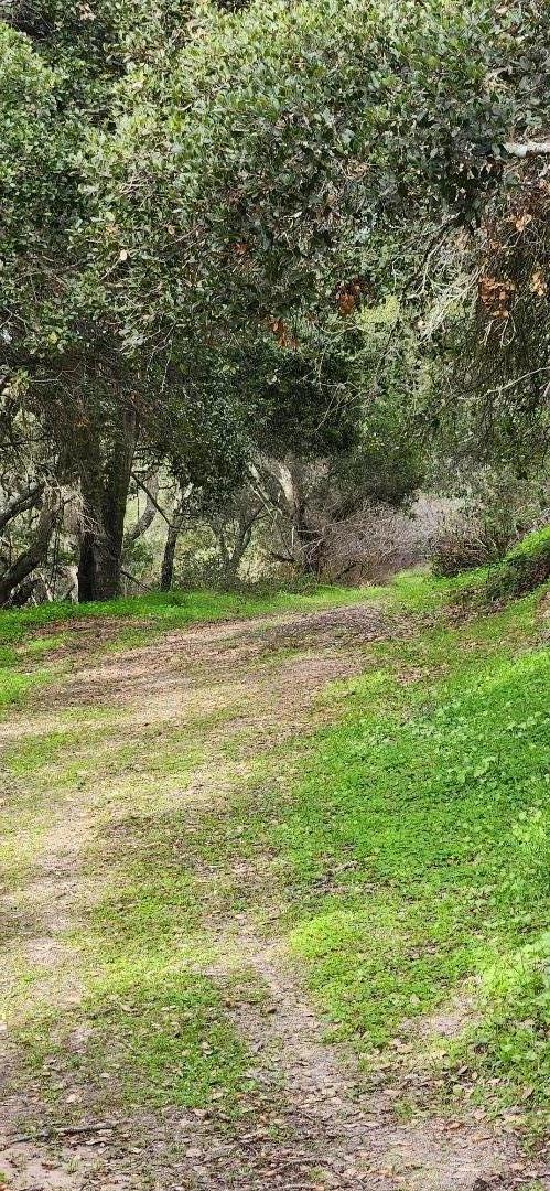 Detail Gallery Image 16 of 16 For None Salinas Rd, San Juan Bautista,  CA 95045 - – Beds | – Baths