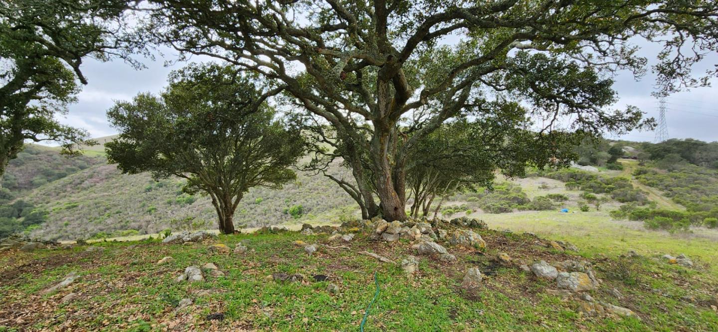 Salinas, San Juan Bautista, CA, 95045