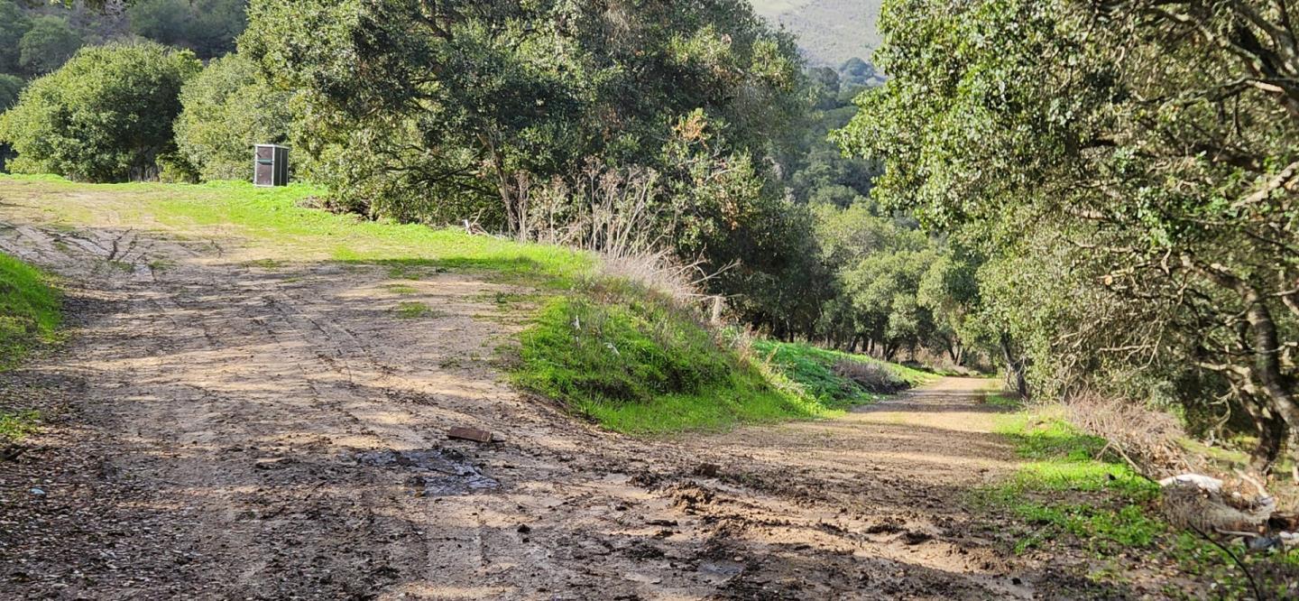 Salinas, San Juan Bautista, CA, 95045