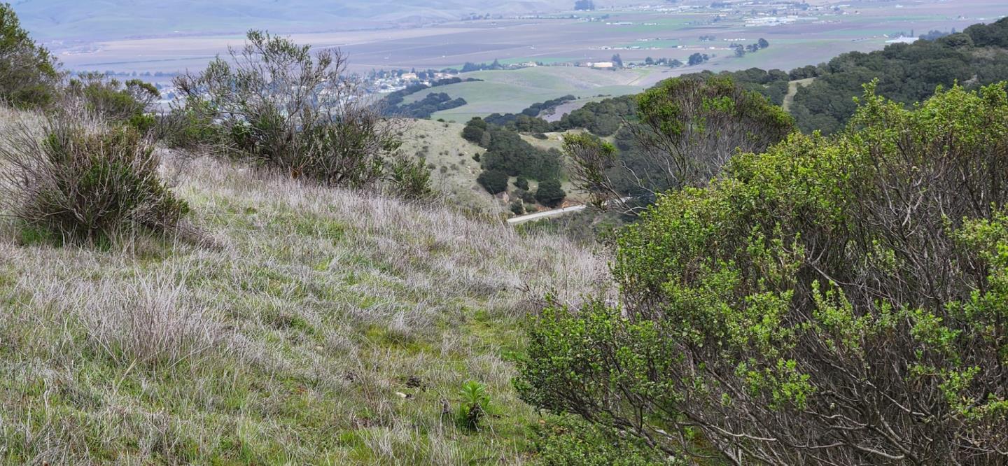 Detail Gallery Image 8 of 16 For None Salinas Rd, San Juan Bautista,  CA 95045 - – Beds | – Baths