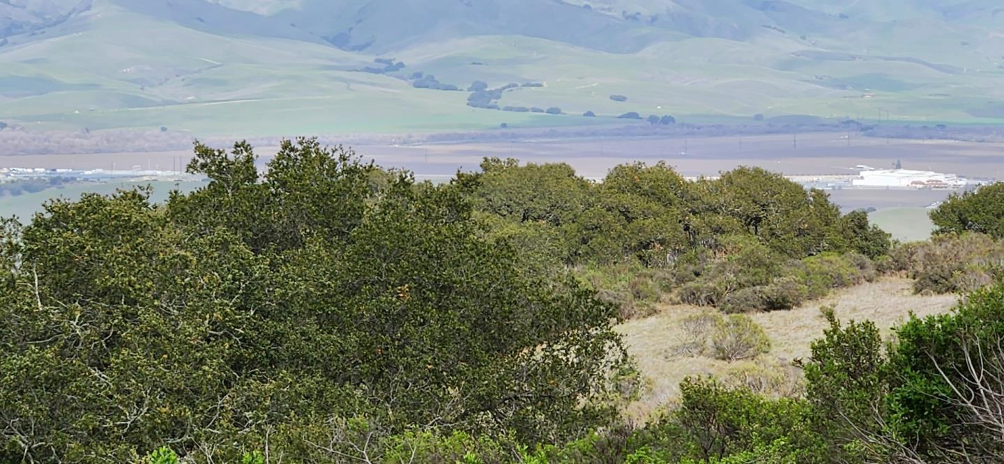 Detail Gallery Image 9 of 16 For None Salinas Rd, San Juan Bautista,  CA 95045 - – Beds | – Baths