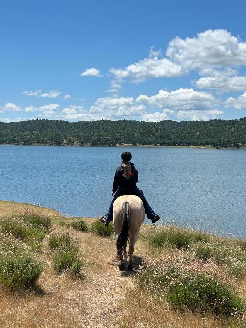 Detail Gallery Image 10 of 86 For 3485 Stable Ln, Santa Cruz,  CA 95065 - 3 Beds | 2 Baths