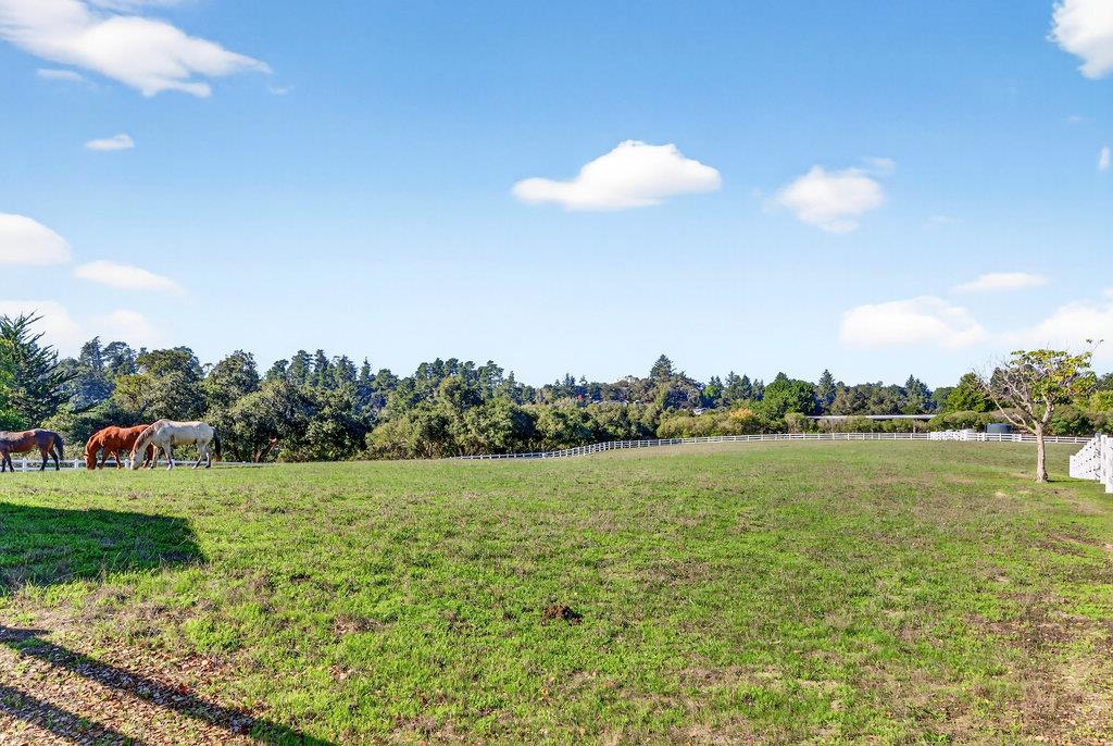 Detail Gallery Image 18 of 86 For 3485 Stable Ln, Santa Cruz,  CA 95065 - 3 Beds | 2 Baths