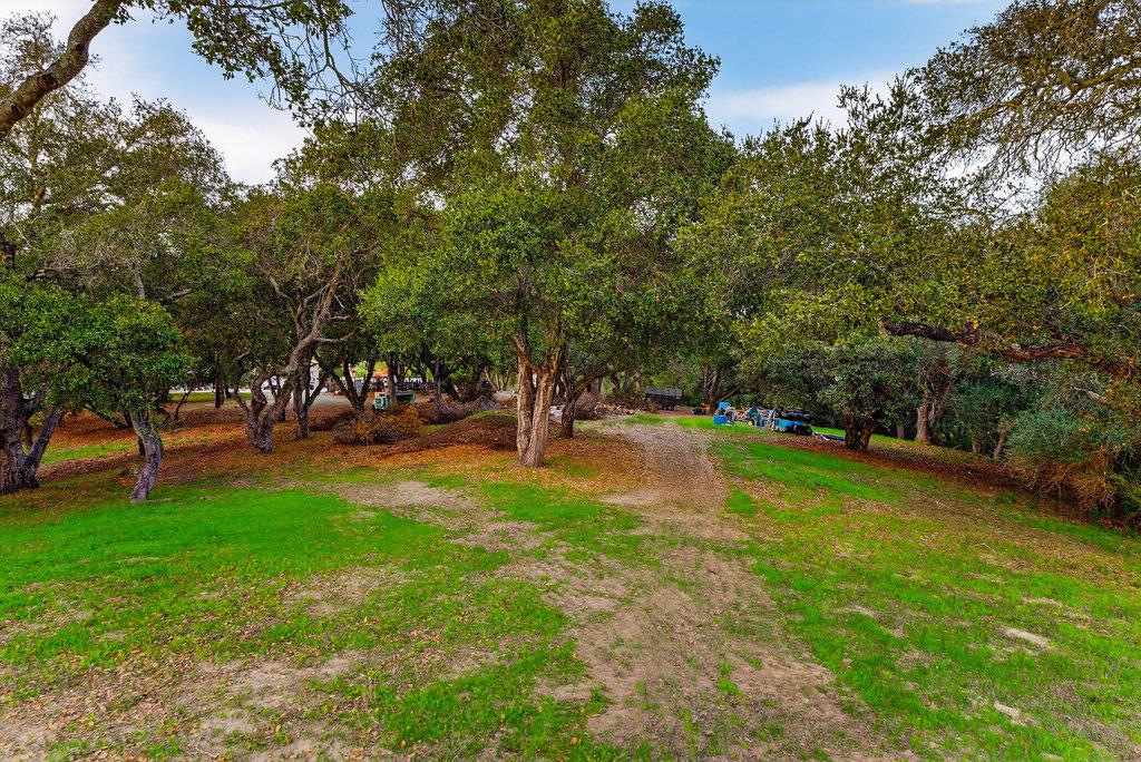 Detail Gallery Image 66 of 86 For 3485 Stable Ln, Santa Cruz,  CA 95065 - 3 Beds | 2 Baths