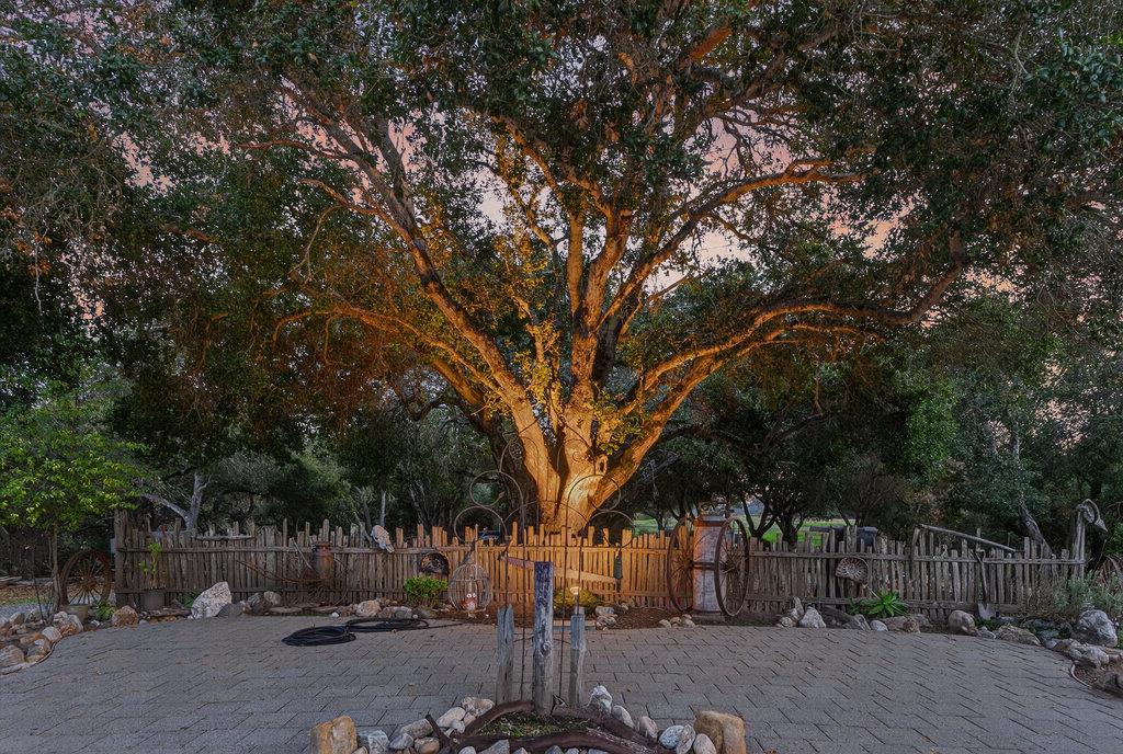 Detail Gallery Image 67 of 86 For 3485 Stable Ln, Santa Cruz,  CA 95065 - 3 Beds | 2 Baths