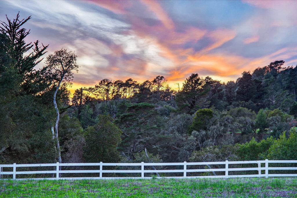Detail Gallery Image 14 of 85 For 3485 Stable Ln, Santa Cruz,  CA 95065 - – Beds | – Baths