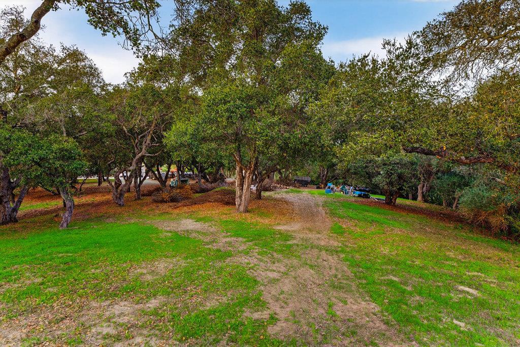 Detail Gallery Image 66 of 85 For 3485 Stable Ln, Santa Cruz,  CA 95065 - – Beds | – Baths