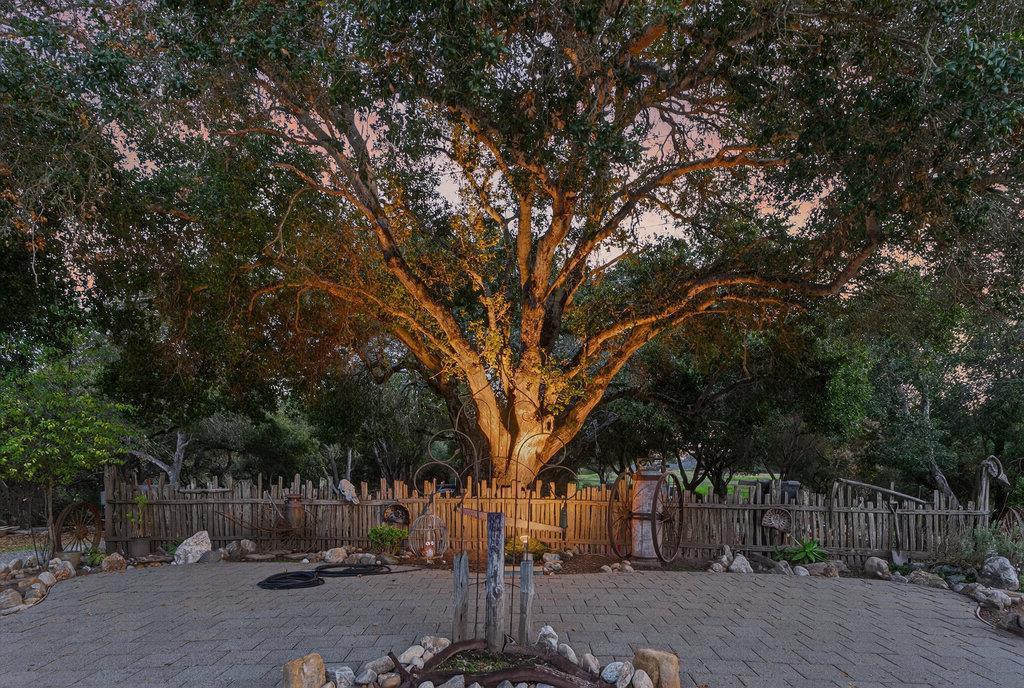 Detail Gallery Image 67 of 85 For 3485 Stable Ln, Santa Cruz,  CA 95065 - – Beds | – Baths