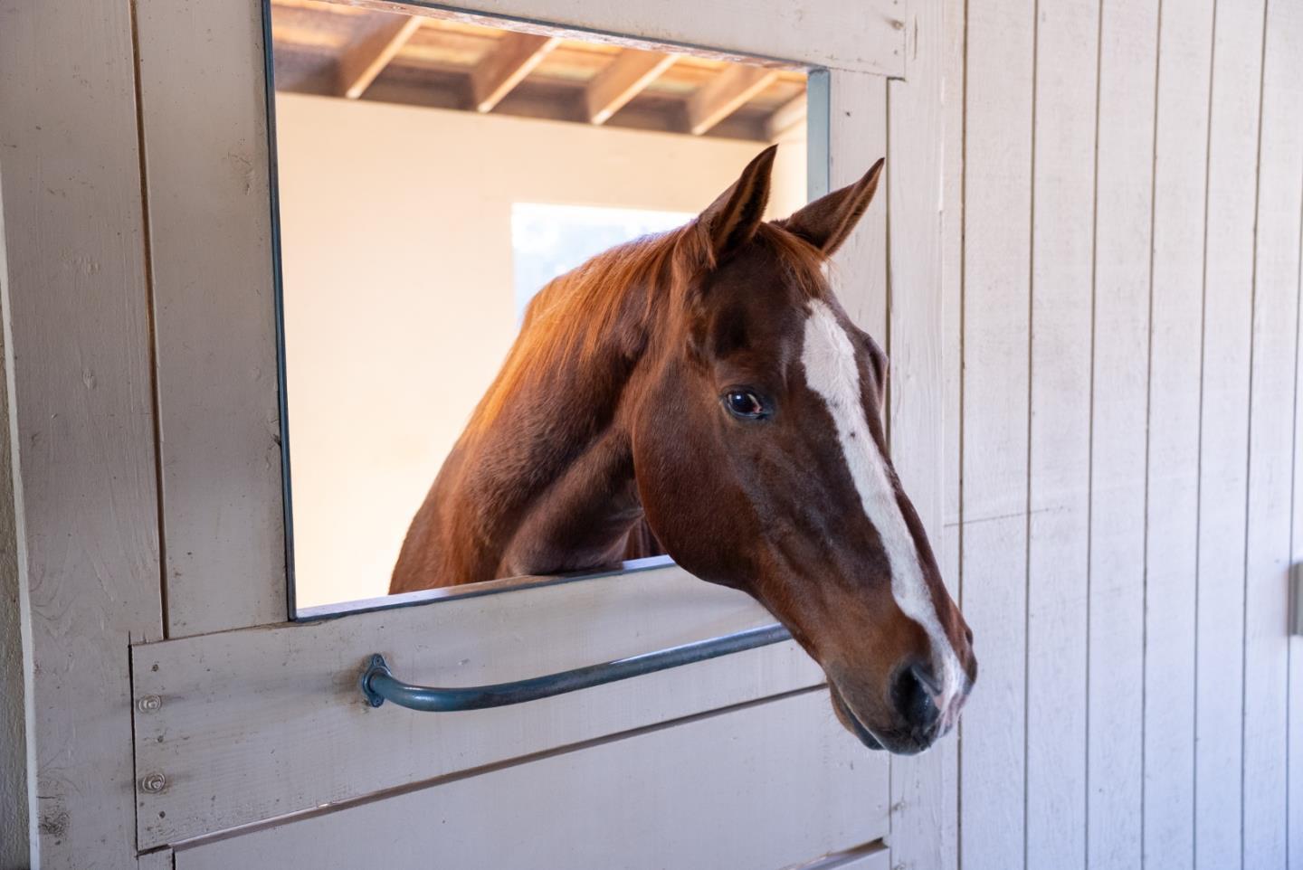 Detail Gallery Image 8 of 85 For 3485 Stable Ln, Santa Cruz,  CA 95065 - – Beds | – Baths