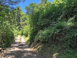 Detail Gallery Image 1 of 1 For 0 Farr, Aptos,  CA 95003 - – Beds | – Baths