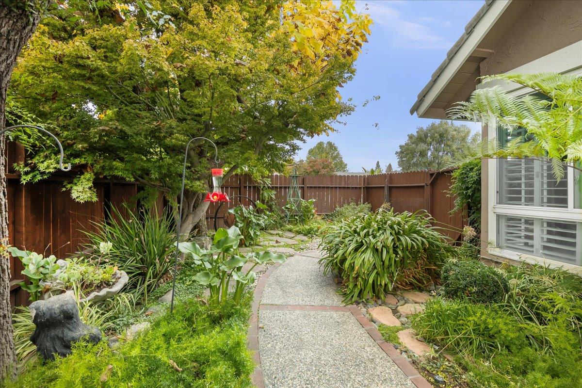 Detail Gallery Image 24 of 33 For 272 Los Palmos Way, San Jose,  CA 95119 - 5 Beds | 2/1 Baths