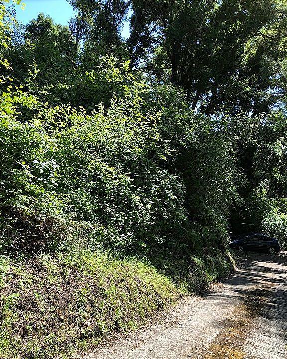 Detail Gallery Image 1 of 1 For 0 Farr Ave, Aptos,  CA 95003 - – Beds | – Baths