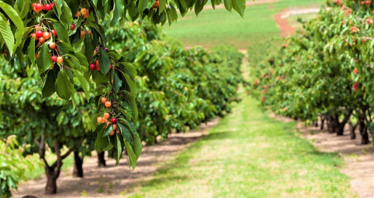 4405 Davidson, Gilroy, CA, 95020