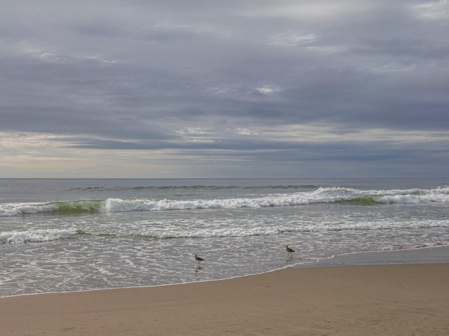 Detail Gallery Image 52 of 56 For 101 Shell Dr #45,  La Selva Beach,  CA 95076 - 2 Beds | 2 Baths