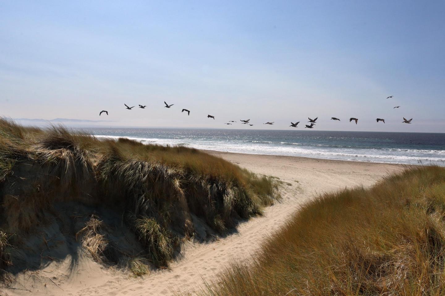 Detail Gallery Image 6 of 56 For 101 Shell Dr #45,  La Selva Beach,  CA 95076 - 2 Beds | 2 Baths